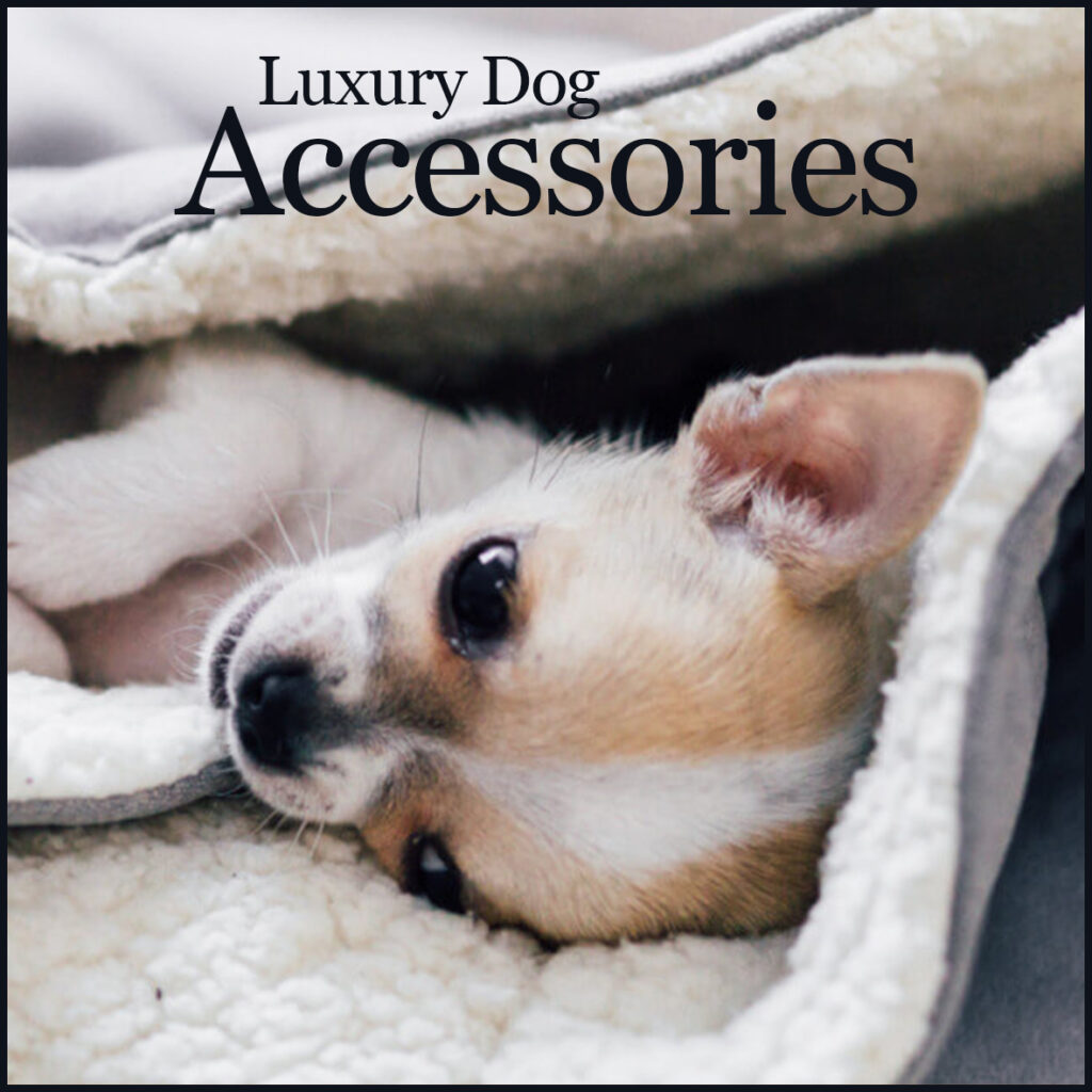 Luxury Dog Accessories