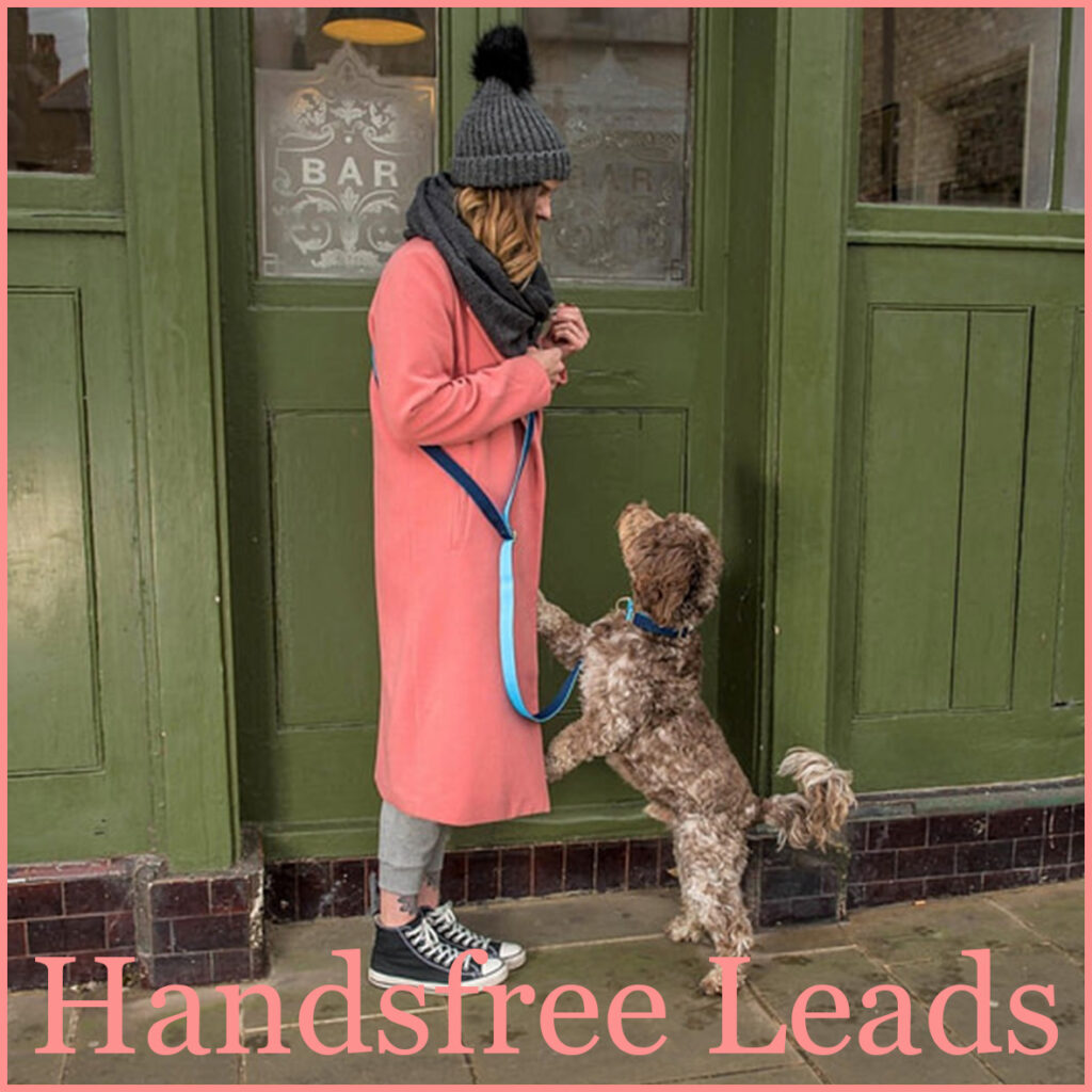 Handsfree Dog Leads