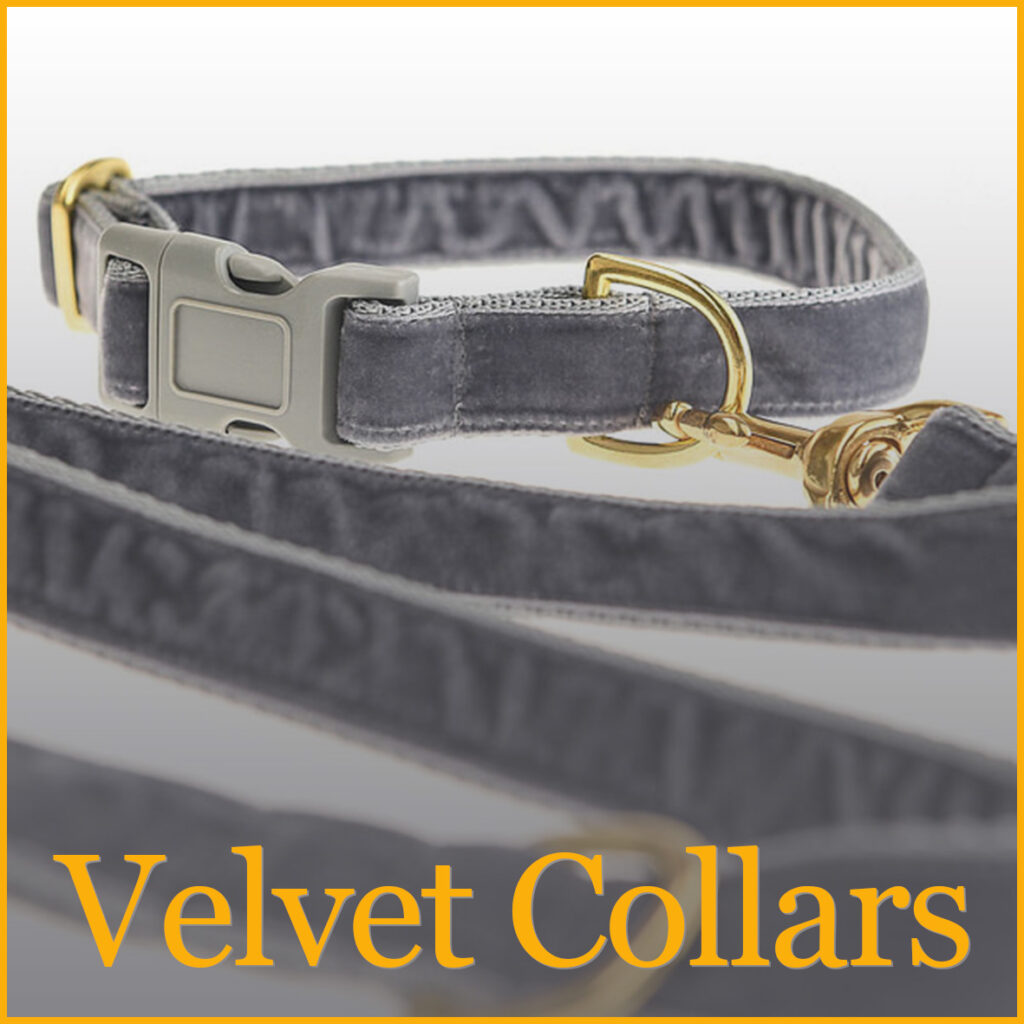 Velvet dog collars
