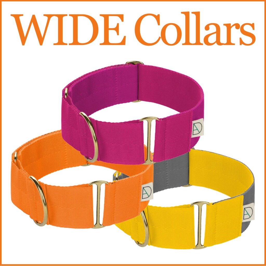 Extra Wide Dog Collars